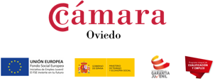 Servicio Público de Empleo Estatal